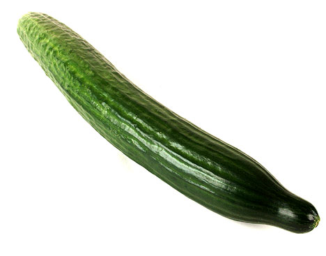 Cucumber